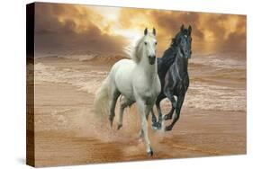 Dream Horses 046-Bob Langrish-Stretched Canvas