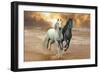 Dream Horses 046-Bob Langrish-Framed Premium Photographic Print