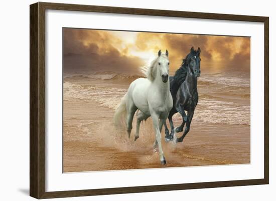 Dream Horses 046-Bob Langrish-Framed Photographic Print