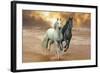 Dream Horses 046-Bob Langrish-Framed Photographic Print