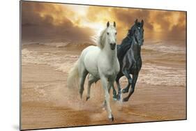 Dream Horses 046-Bob Langrish-Mounted Photographic Print