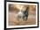 Dream Horses 046-Bob Langrish-Framed Photographic Print