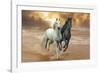 Dream Horses 046-Bob Langrish-Framed Photographic Print