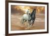 Dream Horses 046-Bob Langrish-Framed Photographic Print