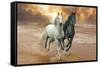 Dream Horses 046-Bob Langrish-Framed Stretched Canvas