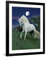 Dream Horses 047-Bob Langrish-Framed Photographic Print