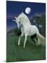 Dream Horses 047-Bob Langrish-Mounted Photographic Print