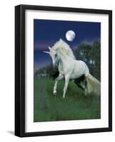 Dream Horses 047-Bob Langrish-Framed Premium Photographic Print