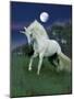 Dream Horses 047-Bob Langrish-Mounted Premium Photographic Print