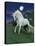 Dream Horses 047-Bob Langrish-Stretched Canvas