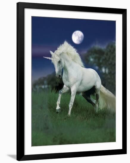 Dream Horses 047-Bob Langrish-Framed Photographic Print