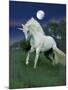 Dream Horses 047-Bob Langrish-Mounted Photographic Print