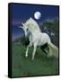 Dream Horses 047-Bob Langrish-Framed Stretched Canvas
