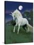 Dream Horses 047-Bob Langrish-Stretched Canvas