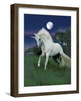 Dream Horses 047-Bob Langrish-Framed Photographic Print