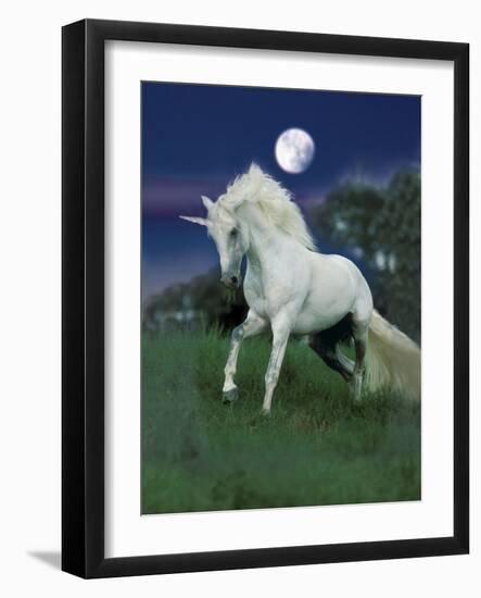 Dream Horses 047-Bob Langrish-Framed Photographic Print