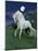 Dream Horses 047-Bob Langrish-Mounted Photographic Print