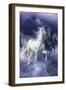 Dream Horses 048-Bob Langrish-Framed Photographic Print