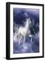 Dream Horses 048-Bob Langrish-Framed Photographic Print
