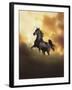 Dream Horses 049-Bob Langrish-Framed Photographic Print