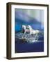 Dream Horses 051-Bob Langrish-Framed Photographic Print