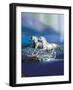 Dream Horses 051-Bob Langrish-Framed Photographic Print