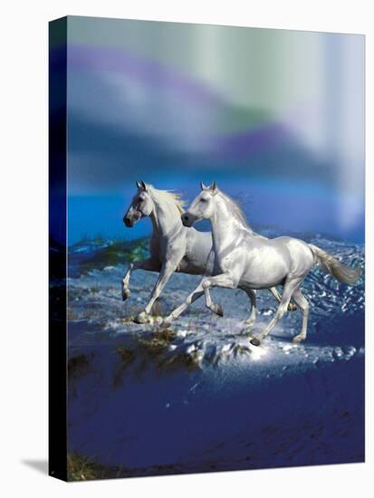 Dream Horses 051-Bob Langrish-Stretched Canvas