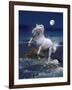 Dream Horses 053-Bob Langrish-Framed Photographic Print