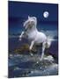 Dream Horses 053-Bob Langrish-Mounted Photographic Print