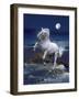 Dream Horses 053-Bob Langrish-Framed Photographic Print