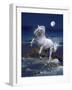 Dream Horses 053-Bob Langrish-Framed Photographic Print