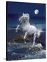 Dream Horses 053-Bob Langrish-Stretched Canvas