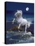 Dream Horses 053-Bob Langrish-Stretched Canvas