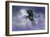 Dream Horses 056-Bob Langrish-Framed Photographic Print