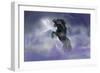 Dream Horses 056-Bob Langrish-Framed Photographic Print