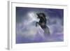 Dream Horses 056-Bob Langrish-Framed Photographic Print