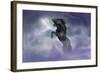 Dream Horses 056-Bob Langrish-Framed Photographic Print