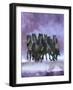 Dream Horses 057-Bob Langrish-Framed Photographic Print