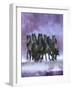 Dream Horses 057-Bob Langrish-Framed Photographic Print