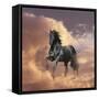 Dream Horses 058-Bob Langrish-Framed Stretched Canvas