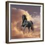 Dream Horses 058-Bob Langrish-Framed Photographic Print