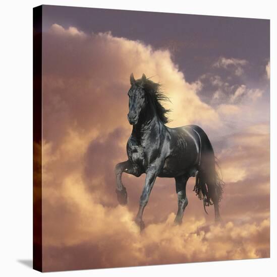 Dream Horses 058-Bob Langrish-Stretched Canvas