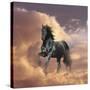 Dream Horses 058-Bob Langrish-Stretched Canvas