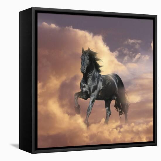 Dream Horses 058-Bob Langrish-Framed Stretched Canvas