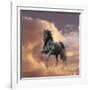 Dream Horses 058-Bob Langrish-Framed Photographic Print