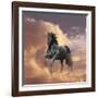 Dream Horses 058-Bob Langrish-Framed Photographic Print