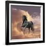 Dream Horses 058-Bob Langrish-Framed Photographic Print