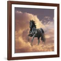 Dream Horses 058-Bob Langrish-Framed Photographic Print