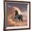 Dream Horses 058-Bob Langrish-Framed Photographic Print
