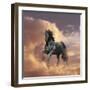 Dream Horses 058-Bob Langrish-Framed Photographic Print